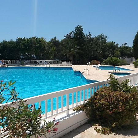 Ikaria Village Apt 201 Paphos Værelse billede